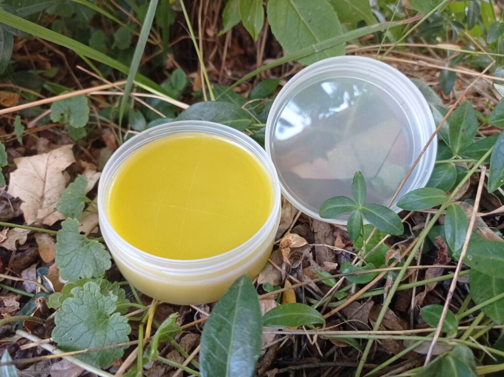 baume atelier plantes sauvages lantenois laetitia