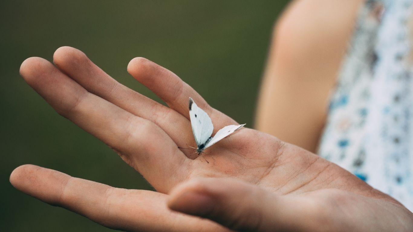 prendre le temps de se reconnecté à la nature