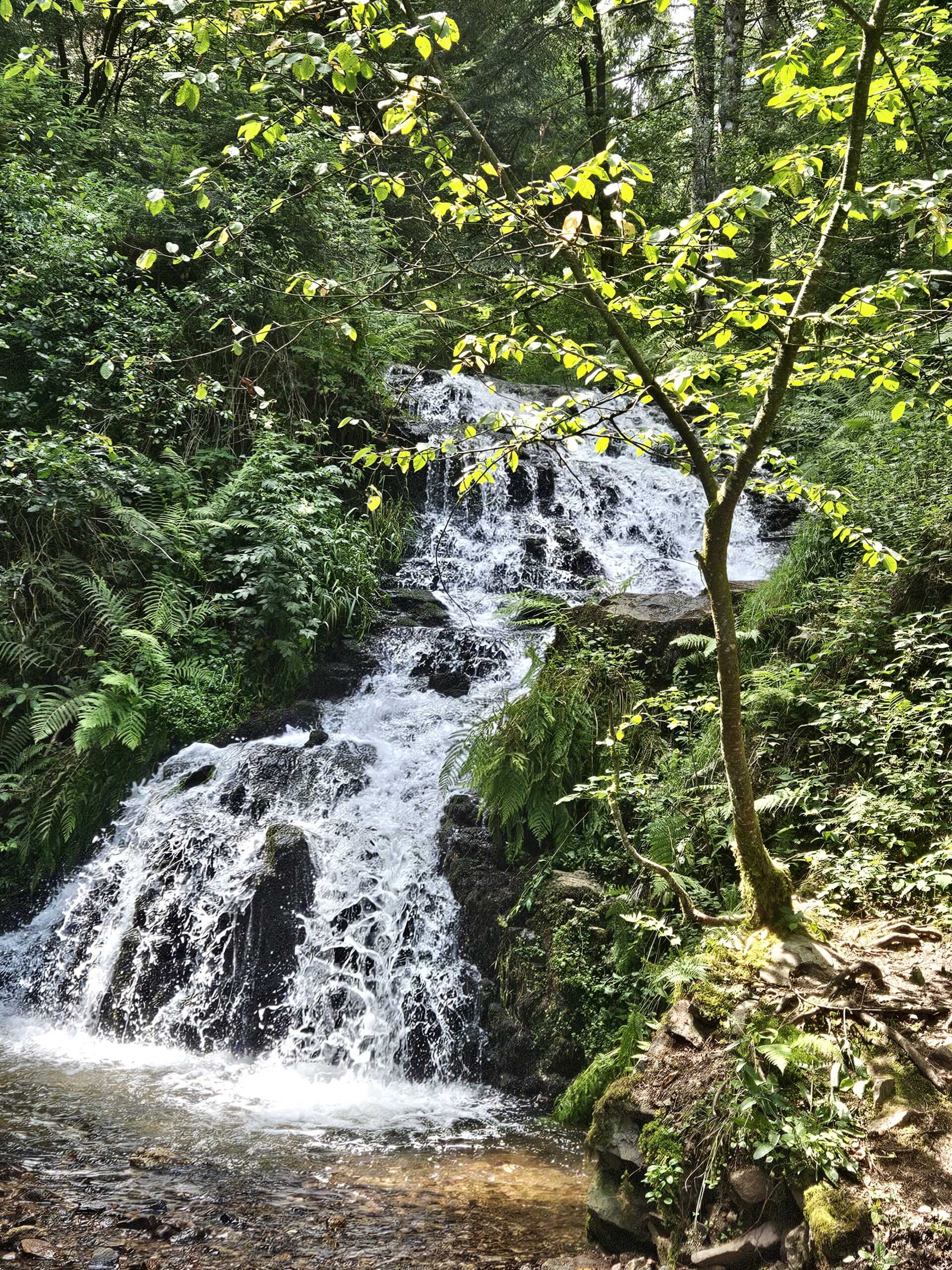 Le flux de l'eau signe de l'abondance